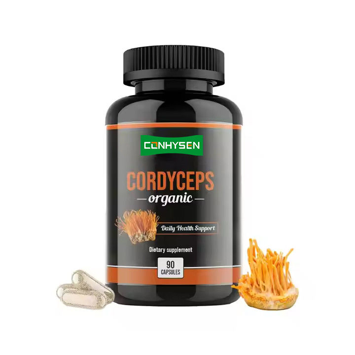 OEM ODM Οργανικές κάψουλες Cordyceps Προωθεί τη λειτουργία του εγκεφάλου Φυτικά συμπληρώματα κάψουλες