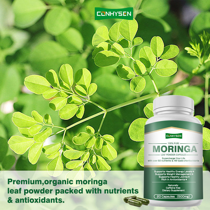 Προσαρμοσμένες 100% καθαρές κάψουλες Moringa για την υποστήριξη της διαχείρισης βάρους υγιείς αρθρώσεις