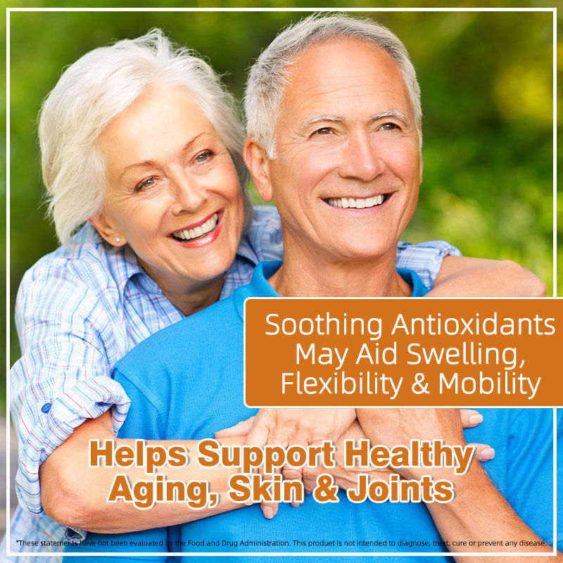 Κάψουλες Οργανικού Sea Moss με Bladderwrack και Burdock Υποστηρίζουν Υγιείς Αρθρώσεις και Δέρμα