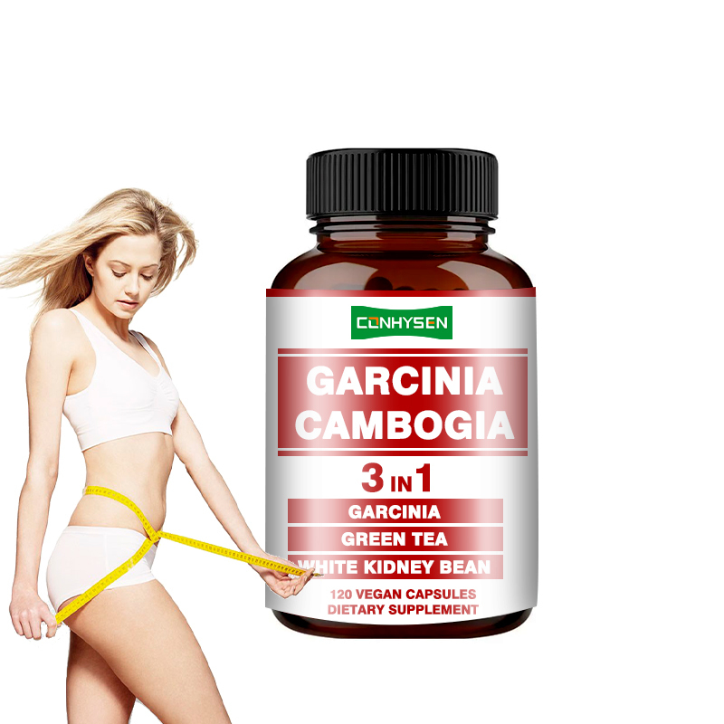 Φαρμακευτικά προϊόντα Garcinia Cambogia με λευκό φασόλι