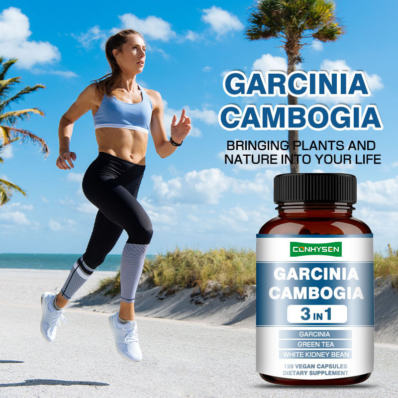 Premium Προσαρμοσμένες Κάψουλες Garcinia Cambogia και Λευκού Φασολιού για Παραγωγή Ενέργειας