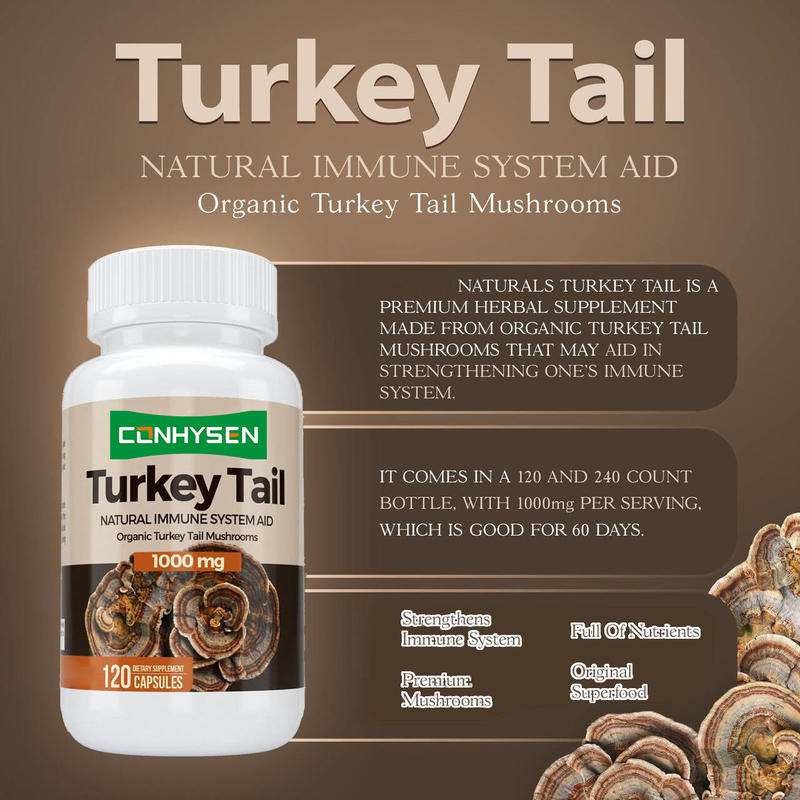 Κάψουλες Premium Custom Turkey Tail: Ενισχύουν την Υγεία του Εγκεφάλου και τη Μνήμη, Φυσική Υποστήριξη του Ανοσοποιητικού Συστήματος