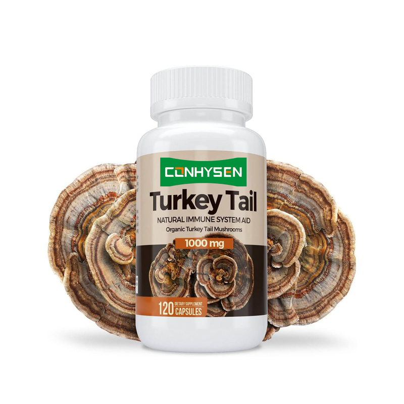 Κάψουλες Premium Custom Turkey Tail: Ενισχύουν την Υγεία του Εγκεφάλου και τη Μνήμη, Φυσική Υποστήριξη του Ανοσοποιητικού Συστήματος