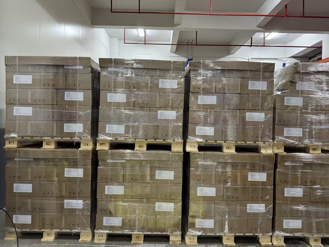 Κάψουλα αδυνατίσματος Iron Box για Υποστήριξη Απώλειας Βάρους και Ενίσχυση Ανοσοποιητικού OEM ODM