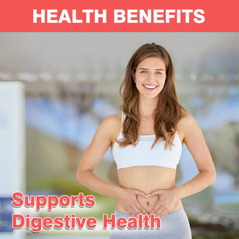 OEM/ODM 4g Πρεβιοτικά Προβιοτικά Γουμάρες 60 δισεκατομμύρια CFU Ενισχύτης ανοσίας Ενισχύτης υγείας εντέρου με αντιοξειδωτικές ιδιότητες Ενήλικες