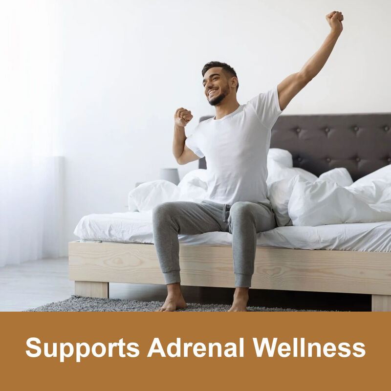 Ζελεδάκια Maca Root Private Label Υψηλής Ποιότητας Συμπλήρωμα Ενίσχυσης Ενέργειας για Άνδρες 1800mg Ζελεδάκια Εκχυλίσματος Maca για Γυναίκες & Άνδρες