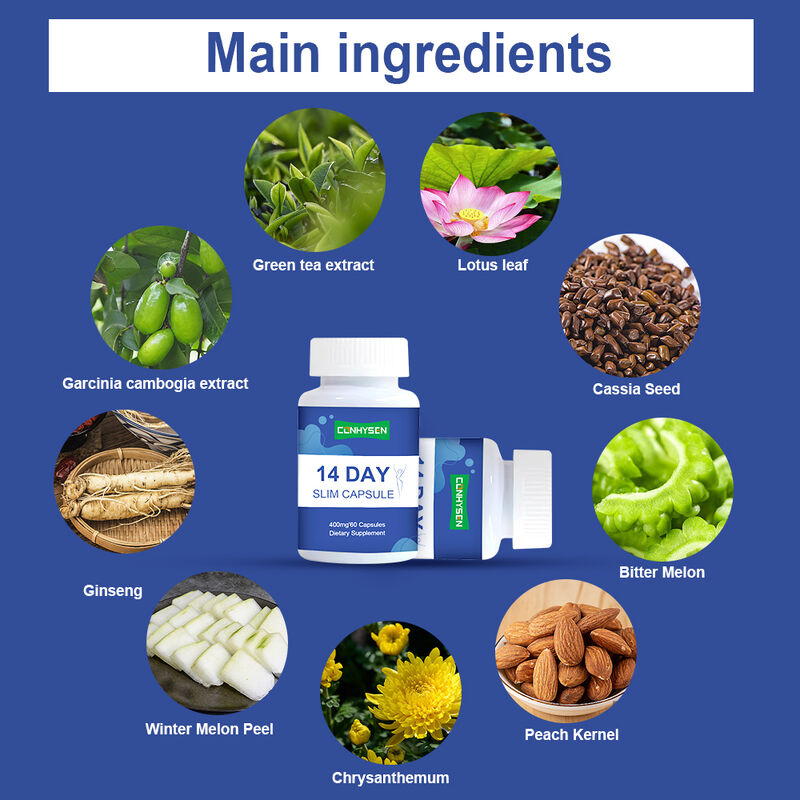 Ιδιωτική Ετικέτα 14 Ημέρες Slim Κάψουλα Υποστηρίζει την Υγεία της Υπαπαπαγωγής και την απώλεια βάρους Συμπλήρωμα Διατροφής Καψούλες Αποτοξίνωσης