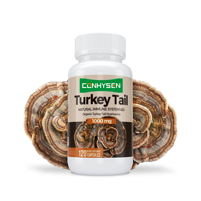 Κάψουλες Premium Custom Turkey Tail: Ενισχύουν την Υγεία του Εγκεφάλου και τη Μνήμη, Φυσική Υποστήριξη του Ανοσοποιητικού Συστήματος